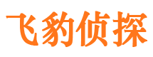 金台市侦探调查公司